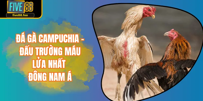Đá Gà Campuchia Online - Đấu Trường Máu Lửa Đông Nam Á